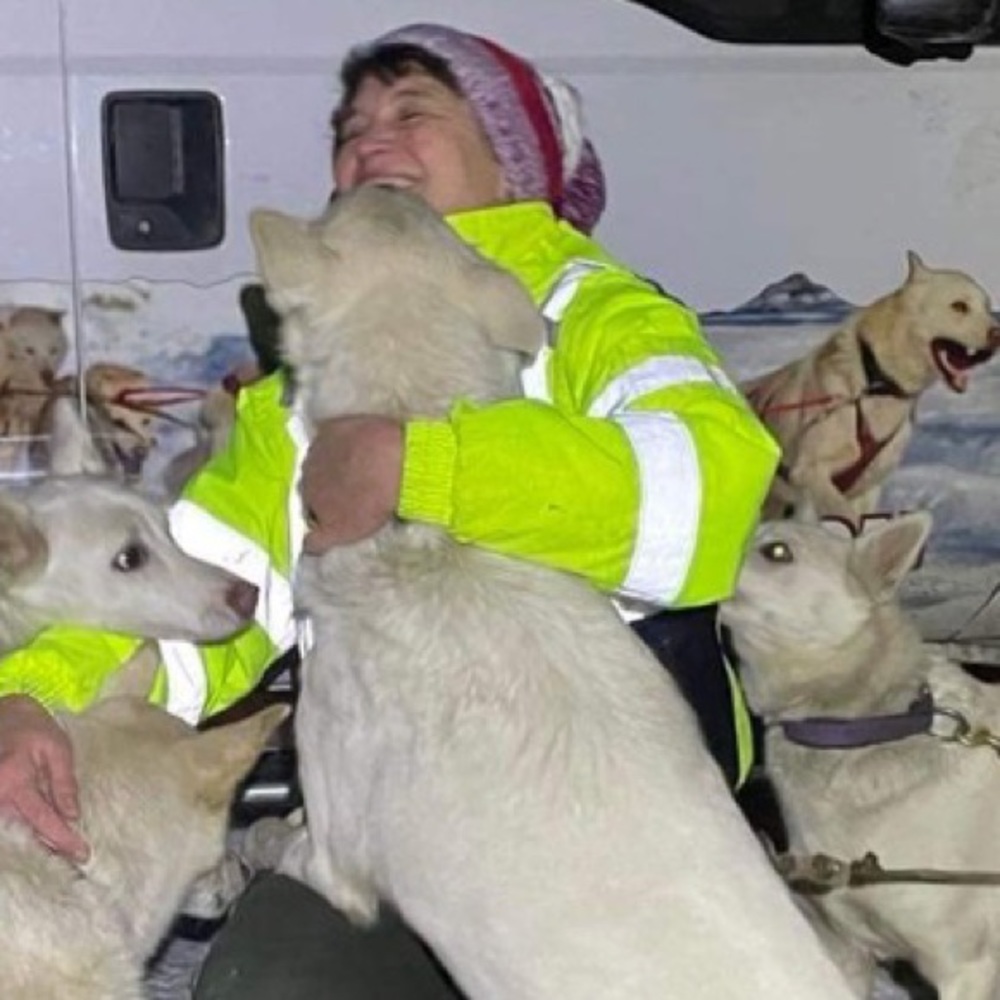 Meet your Posher, Theresa